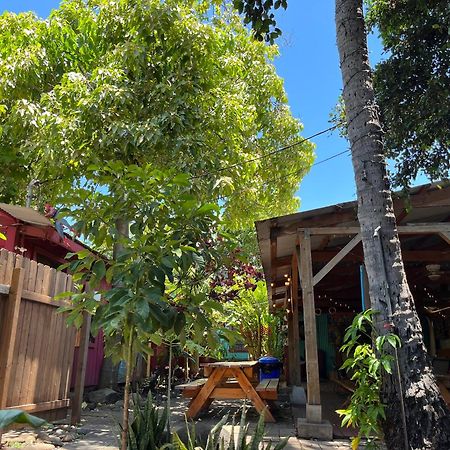 Banana Bungalow Maui Hostel Wailuku Εξωτερικό φωτογραφία