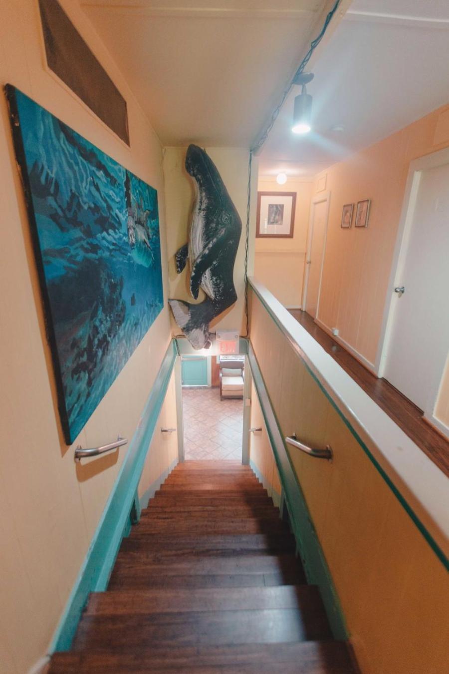 Banana Bungalow Maui Hostel Wailuku Εξωτερικό φωτογραφία