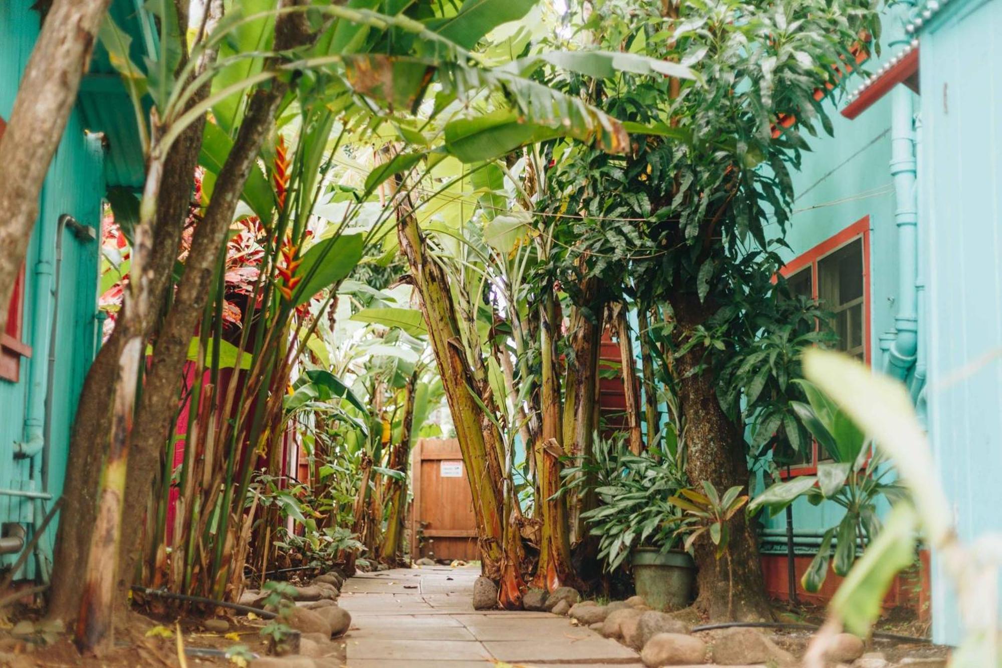 Banana Bungalow Maui Hostel Wailuku Εξωτερικό φωτογραφία